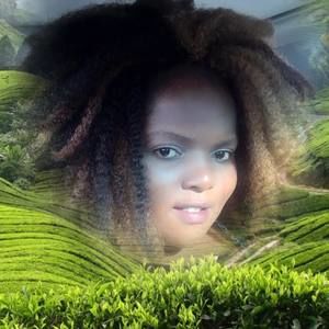 Meet your Posher, Rose